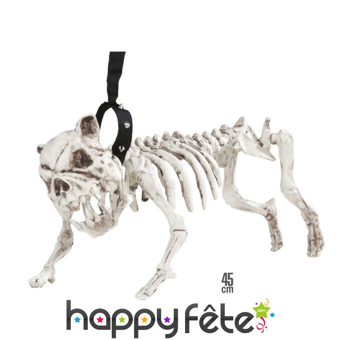 Faux squelette de chien méchant, 45cm
