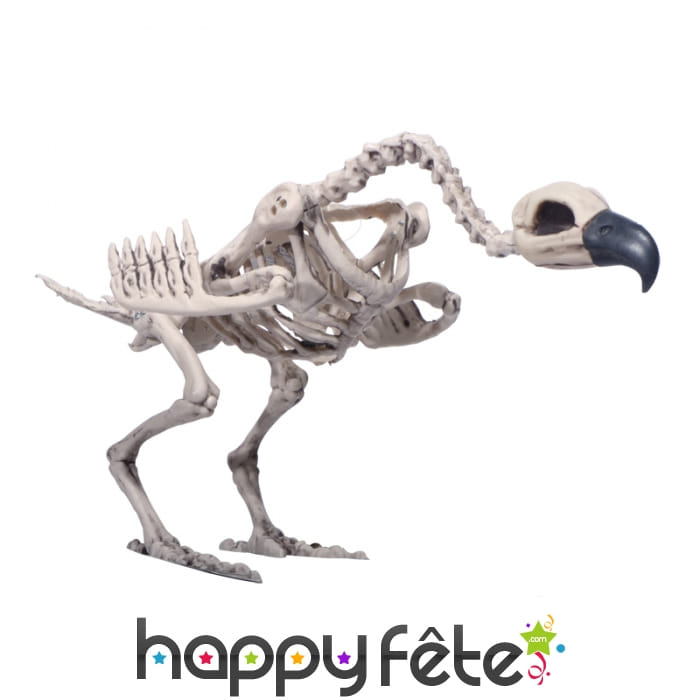 Faux squelette de vautour décoratif