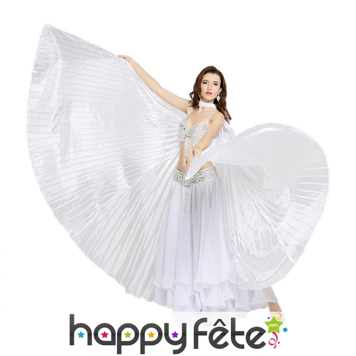 Grandes ailes blanches à déployer, pour adulte