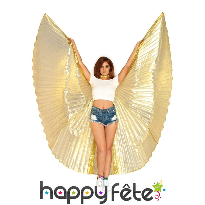 Grandes ailes dorées de Isis