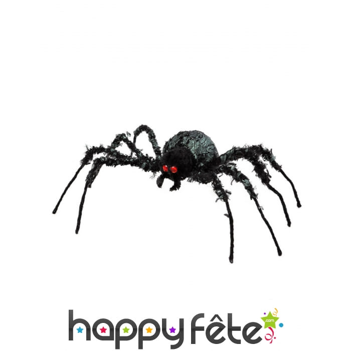 Grande araignée noire aux yeux rouges, 43 x 46 cm