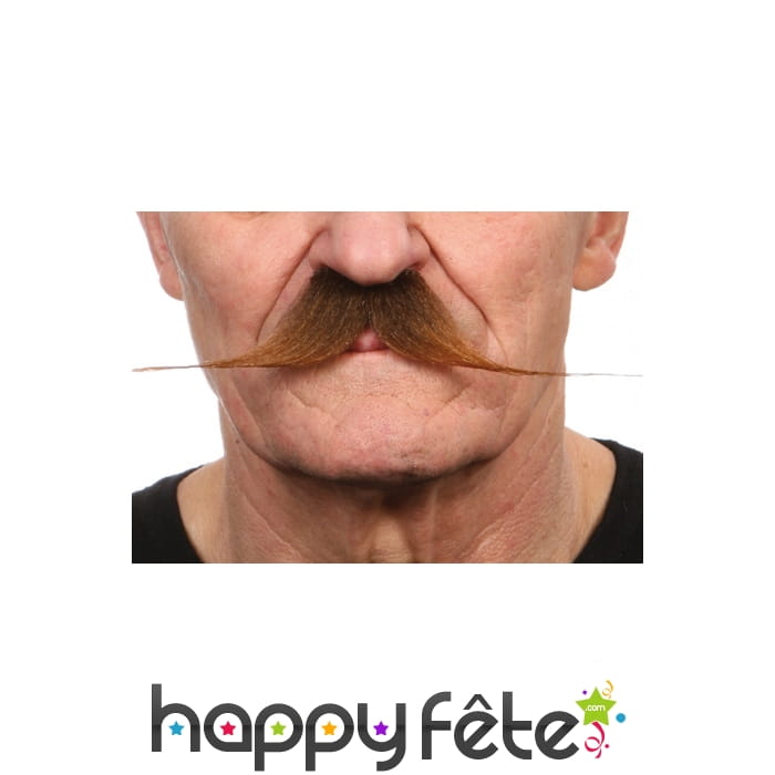 Grosses et fines moustaches chatains