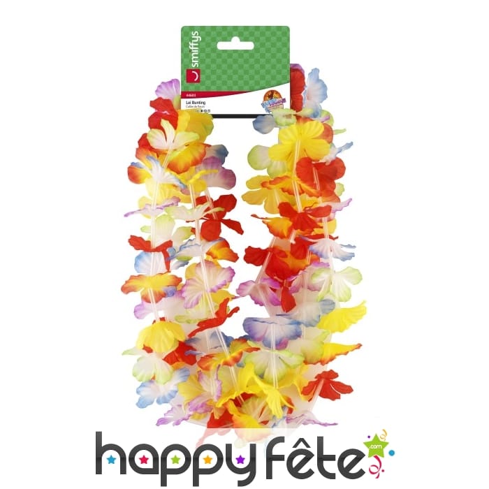Guirlande Hawaïenne multicolore de 3m