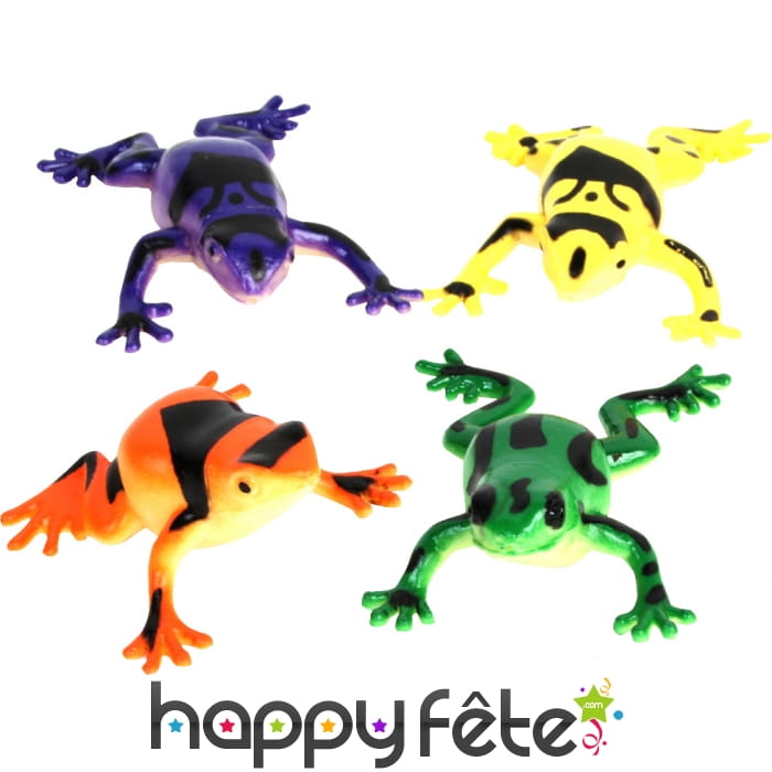 Grenouille lance eau