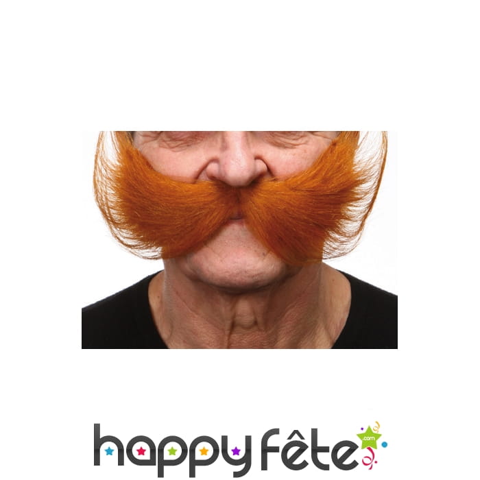 Grosses moustaches américaines rousses