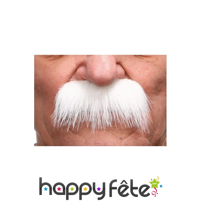 Grosses moustaches blanches de papy