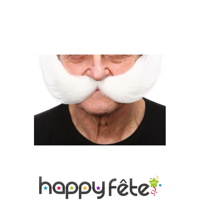 Grosses moustaches blanches de rocker