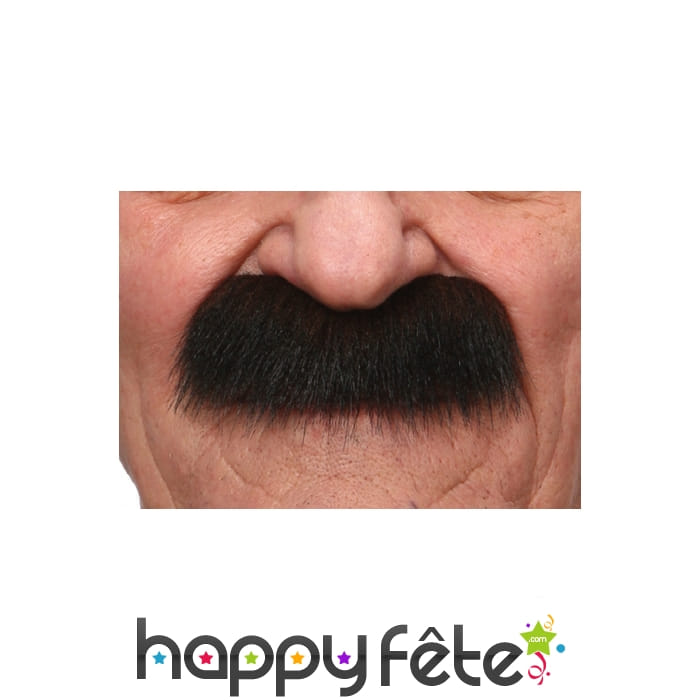 Grosses moustaches brunes de papy