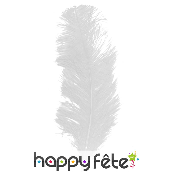 Grande plume d'autruche blanche 25/32cm