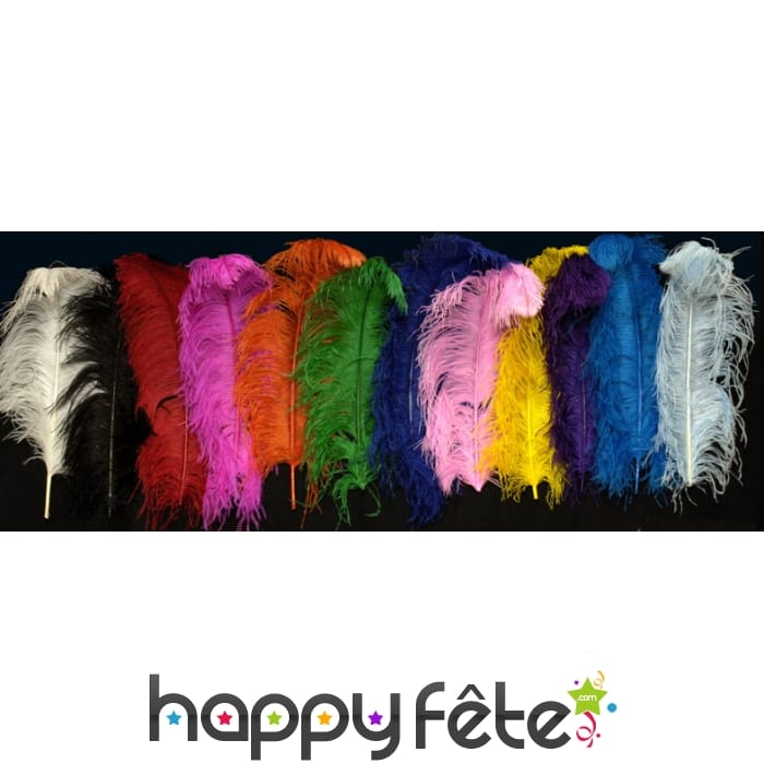 Grande plume d'autruche de 50 cm
