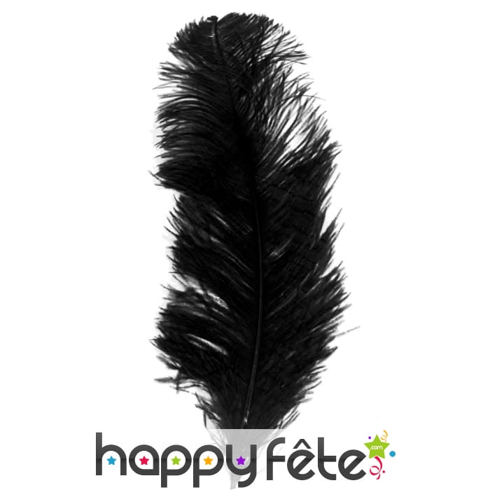 Grande plume noire d'autruche de 25/32cm