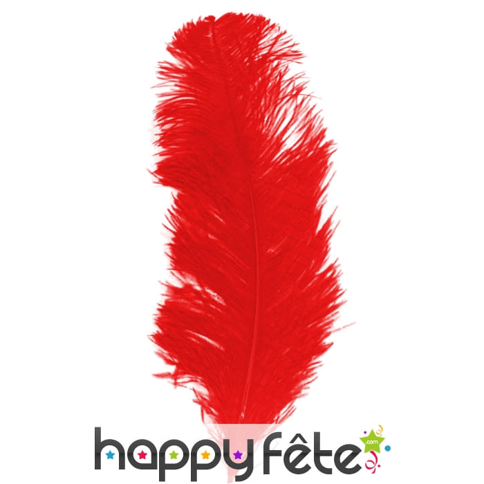 Grande plume rouge de 25/32cm