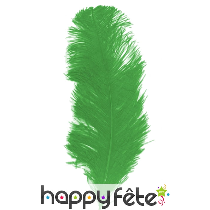 Grande plume verte de 25 à 32 cm