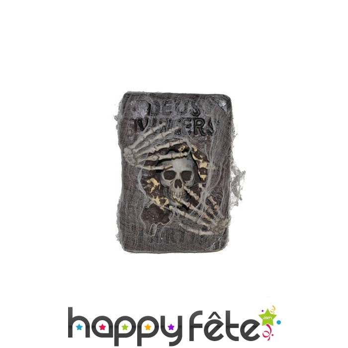 Grimoire squelette recouvert de toile 30x20cm