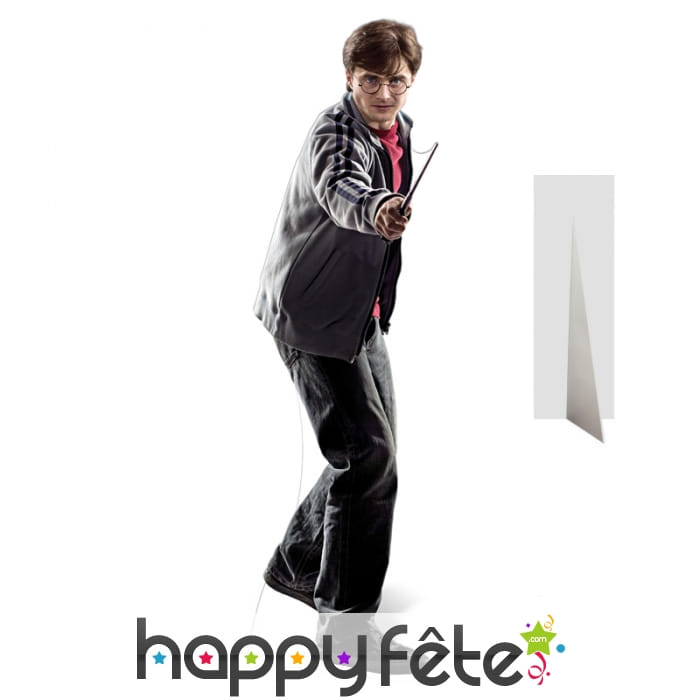 Harry Potter en carton plat taille réelle
