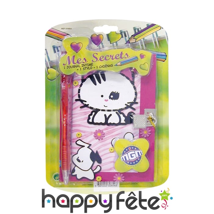 Journal intime avec stylo et verrou