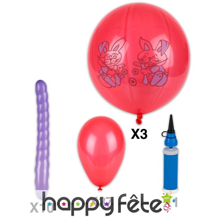Kit de 50 ballons multi formes avec pompe