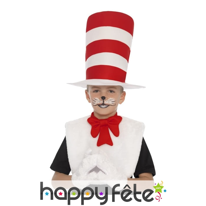 Kit du chat chapeauté pour enfant
