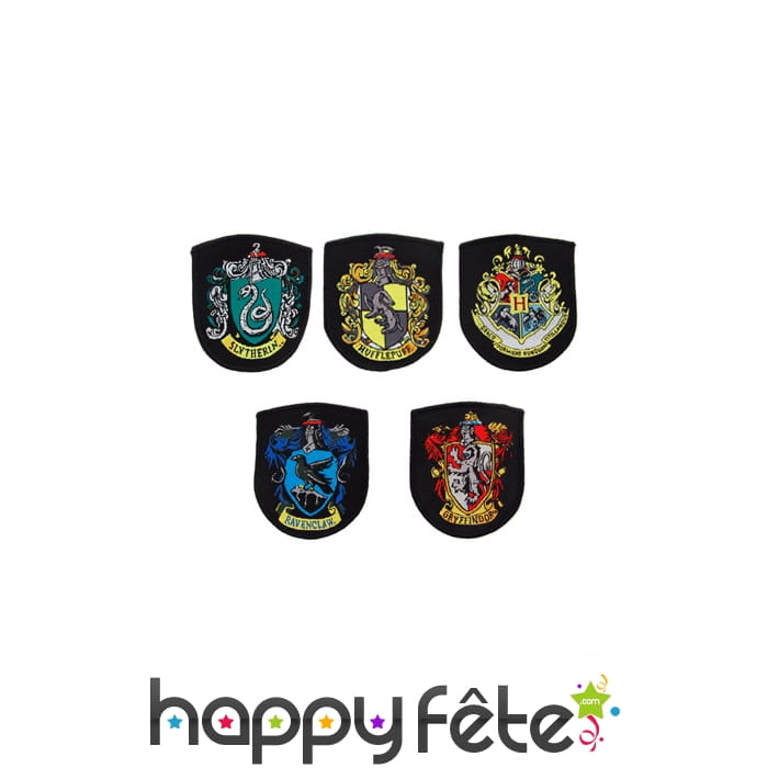 Les 5 écussons de Poudlard, Harry Potter