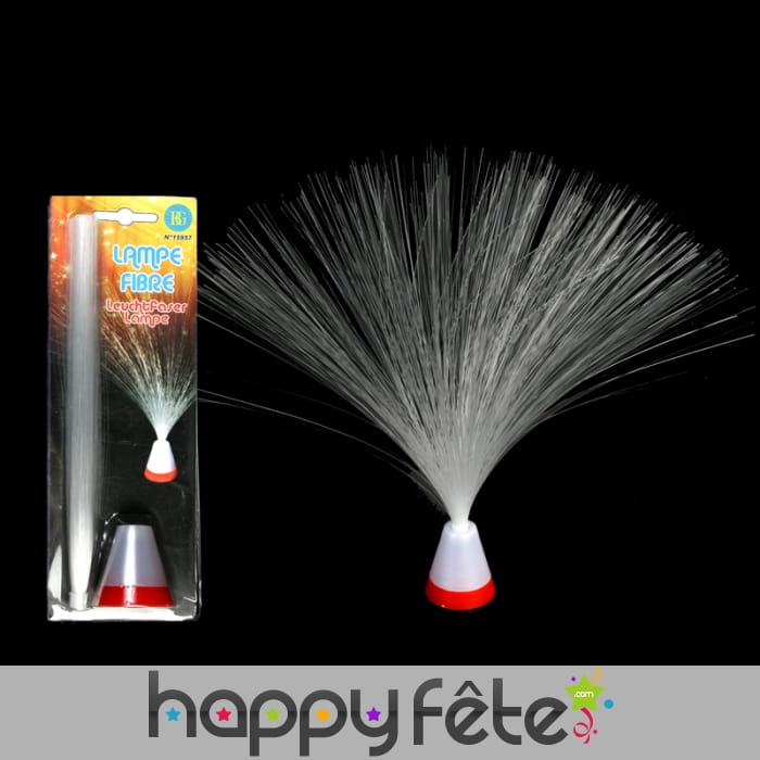 Lampe bouquet de fibre optique