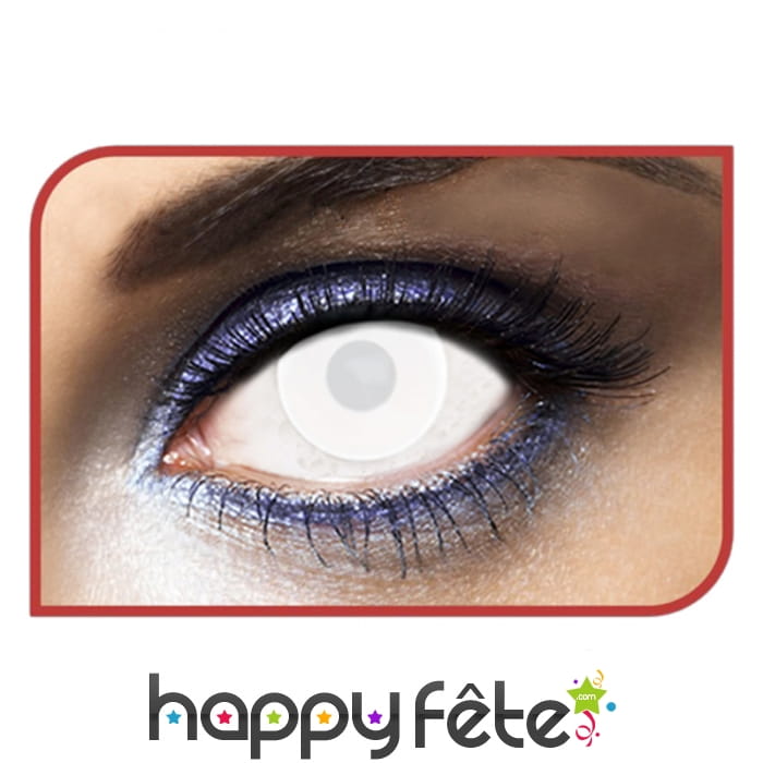 Lentilles blanc intégral