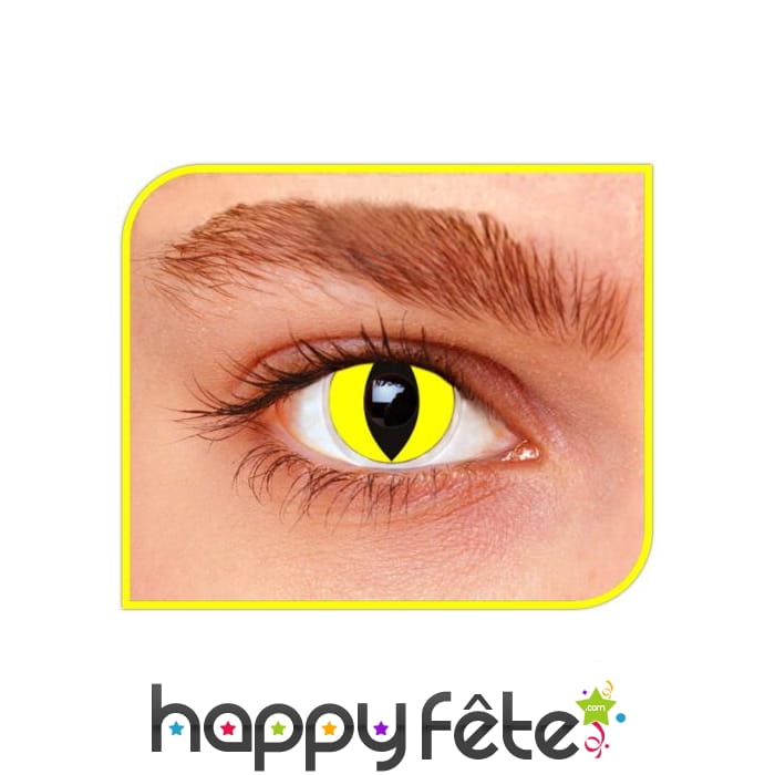 Lentilles chat jaune