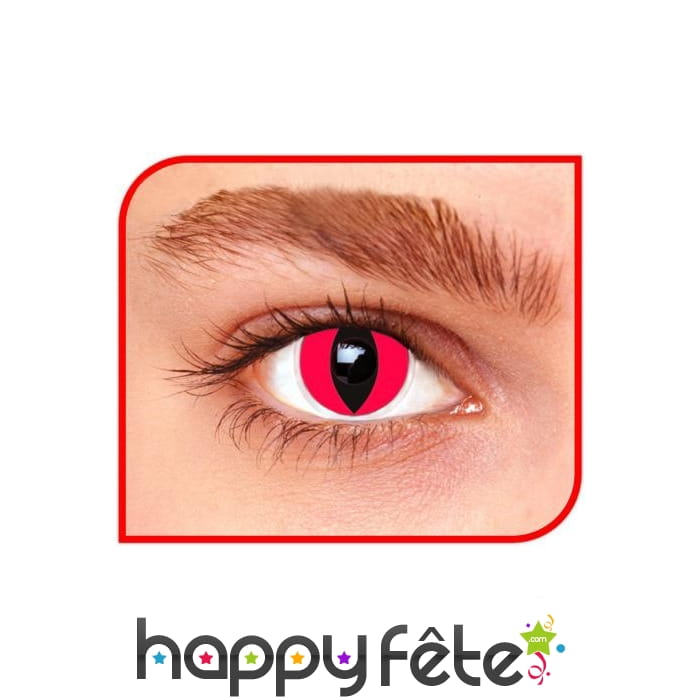 Lentilles chat rouge