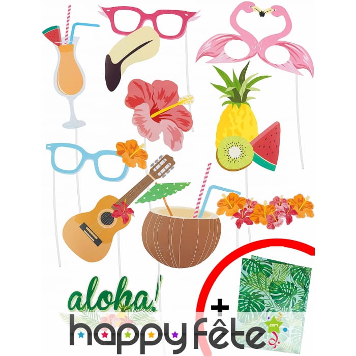 Lot de 10 photobooth style hawaïen