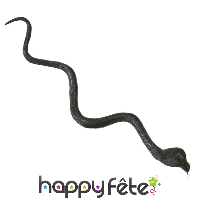 Lot de 2 serpents noirs