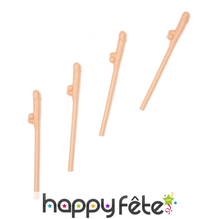 Lot de 6 pailles zizi