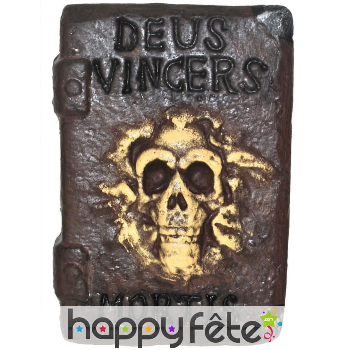 Livre de sorcier avec crâne en relief, 30x21cm