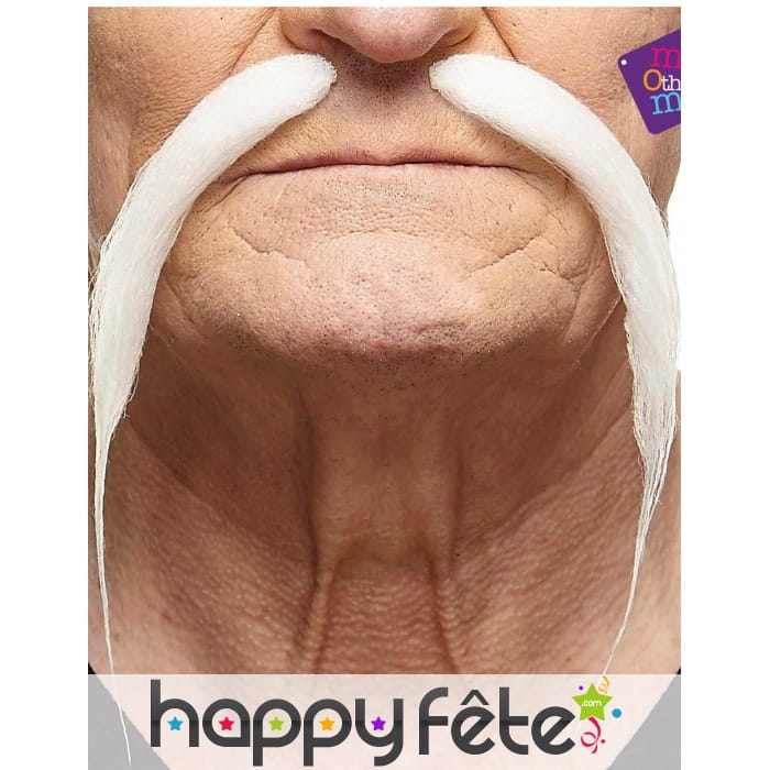Longues et fines moustaches blanches chinoises