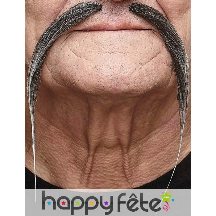 Longues et fines moustaches grise chinoises