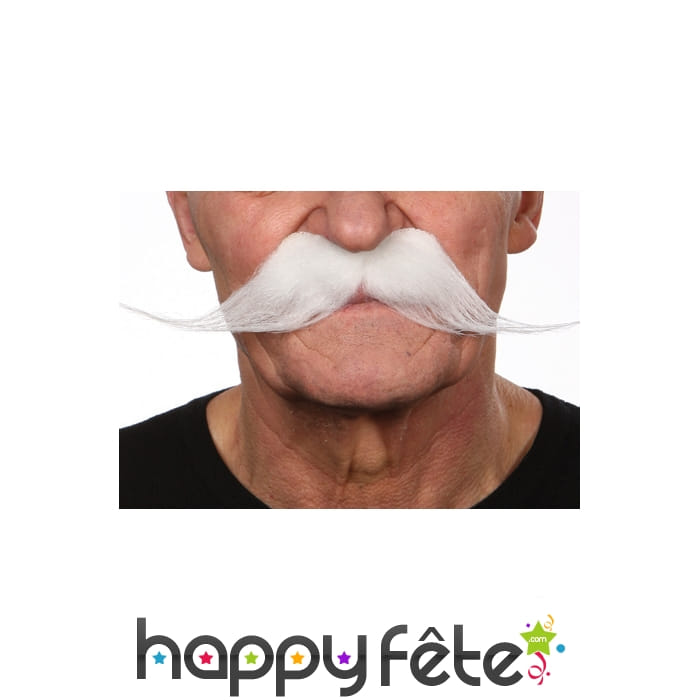 Longues moustaches blanches
