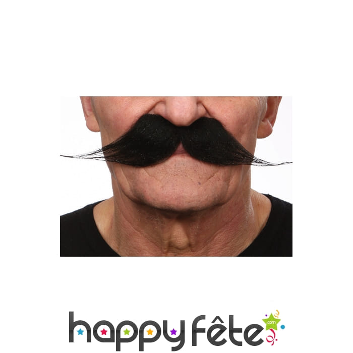 Longues moustaches noires