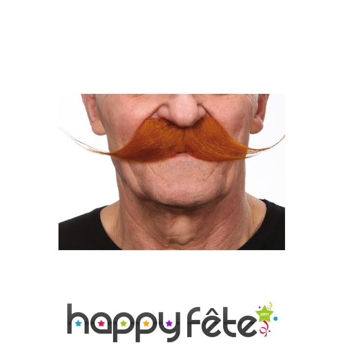 Longues moustaches rousses