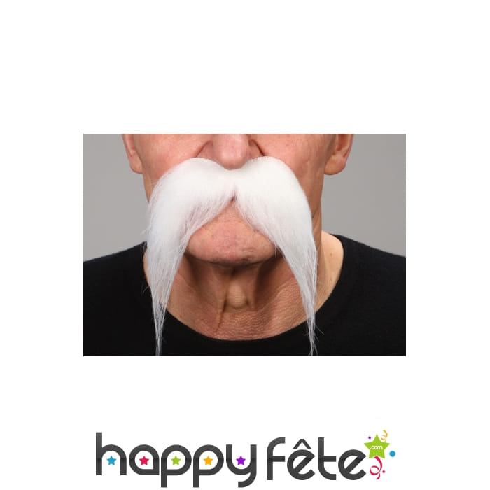Longues moustaches tombantes blanches
