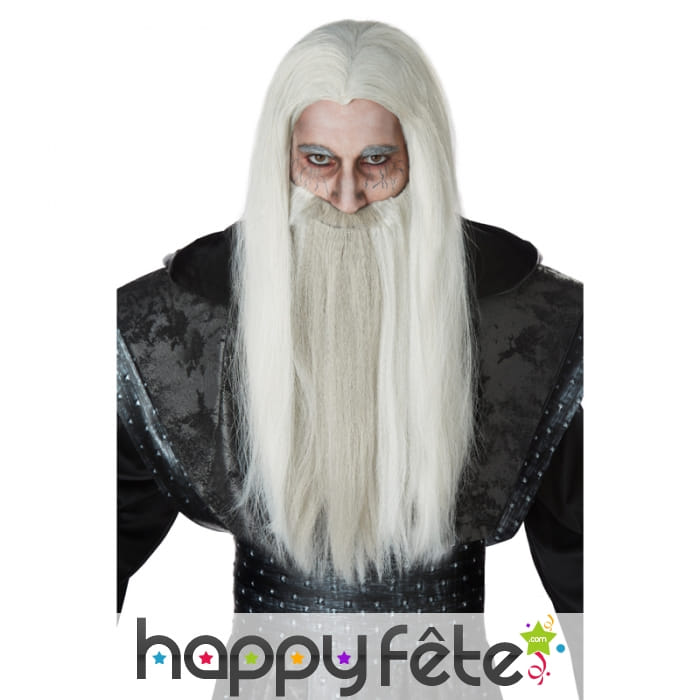 Longue perruque grise de sorcier