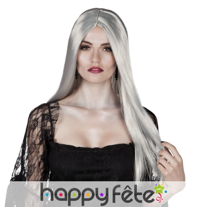 Longue perruque grise lisse
