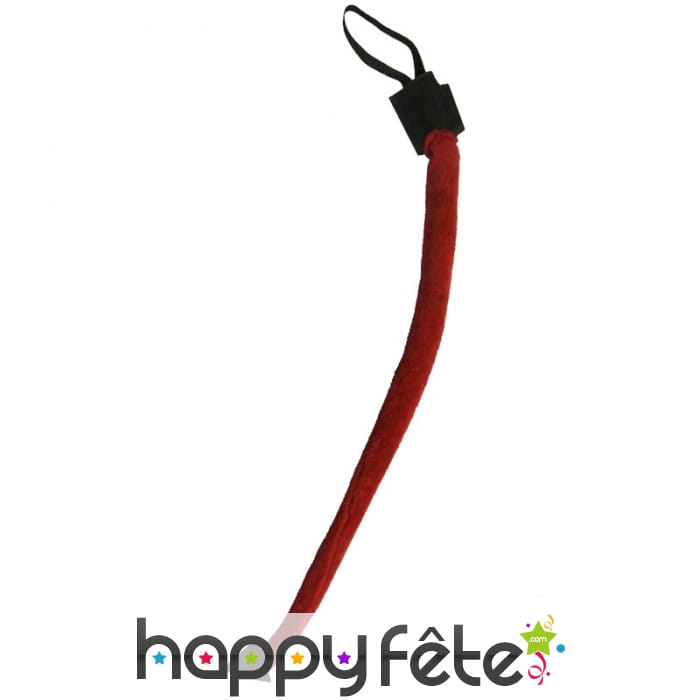 Longue queue de diable pointue