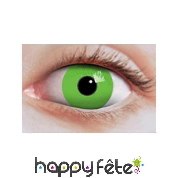 Lentilles vertes unies