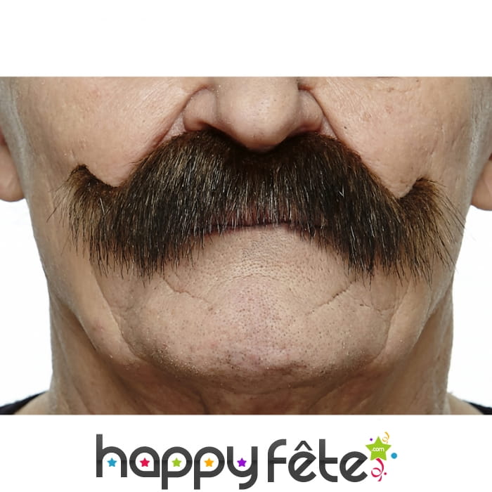 Moustaches brunes de cowboy