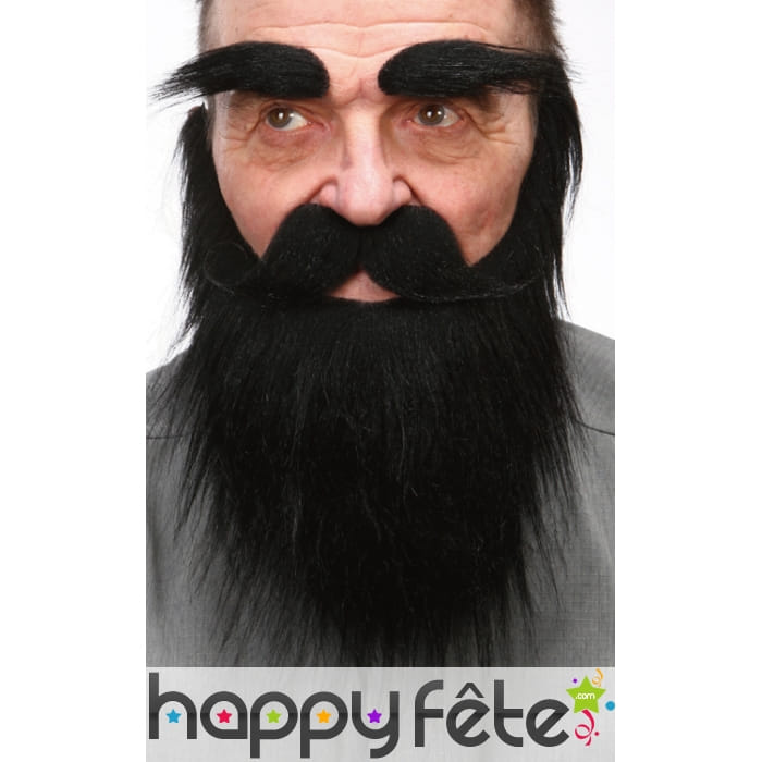 Moustache, barbe et sourcils noirs