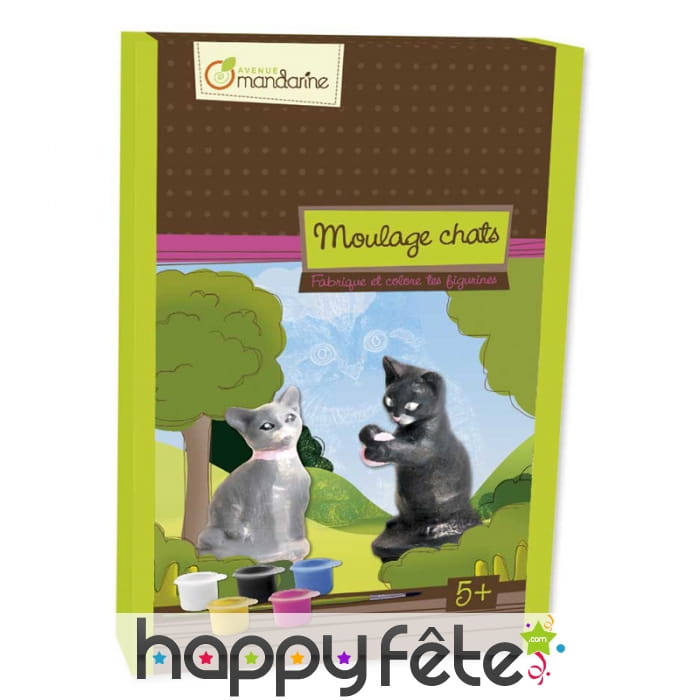 Moulage chats, boite créative