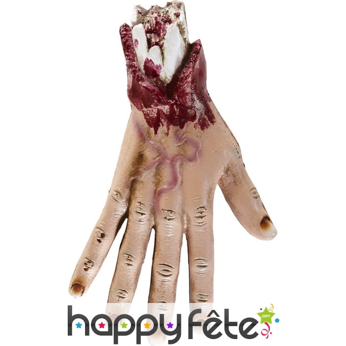 Main coupée en sang de 25cm