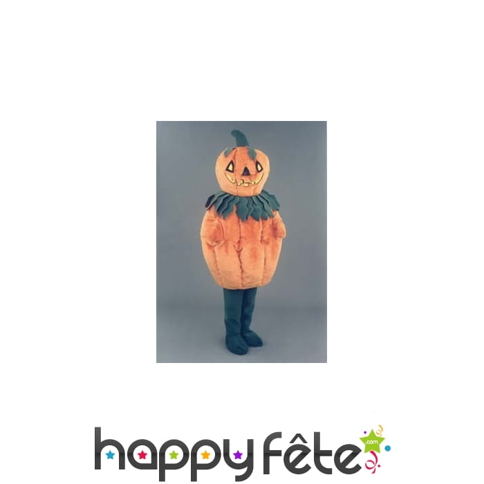 Mascotte citrouille orange