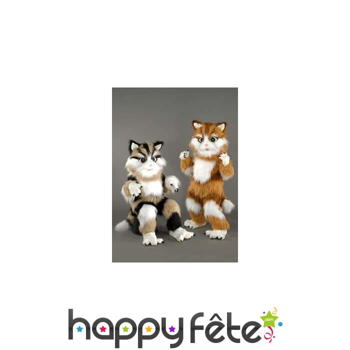 Mascotte chat rayé