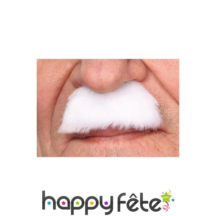 Moustaches dupond blanche
