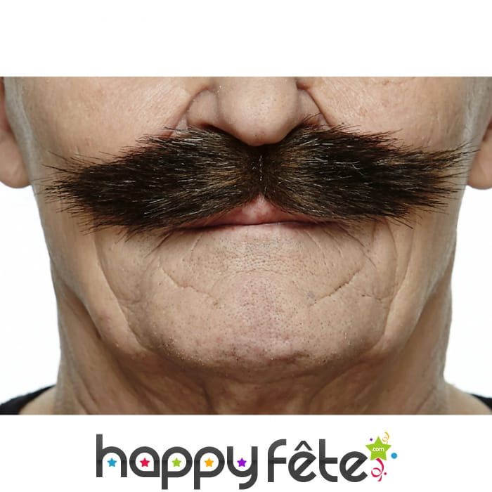 Moustaches de Lord anglais brunes