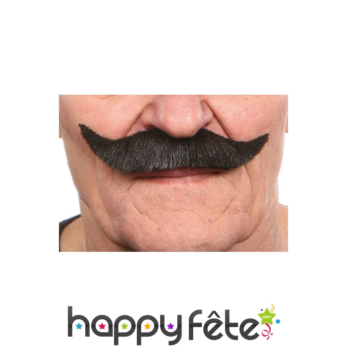 Moustaches des mousquetaire